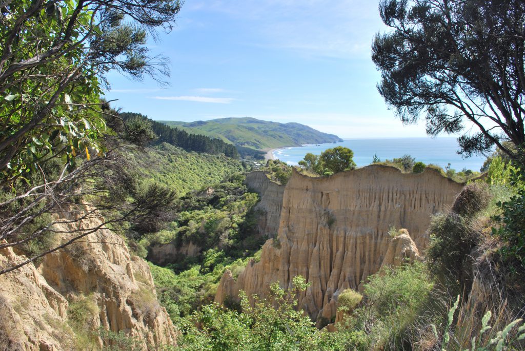 14 Camper-Kurztrips rund um Christchurch: die besten Tipps für Familien 46 Gore Bay Cathedral Cliffs Christchurch