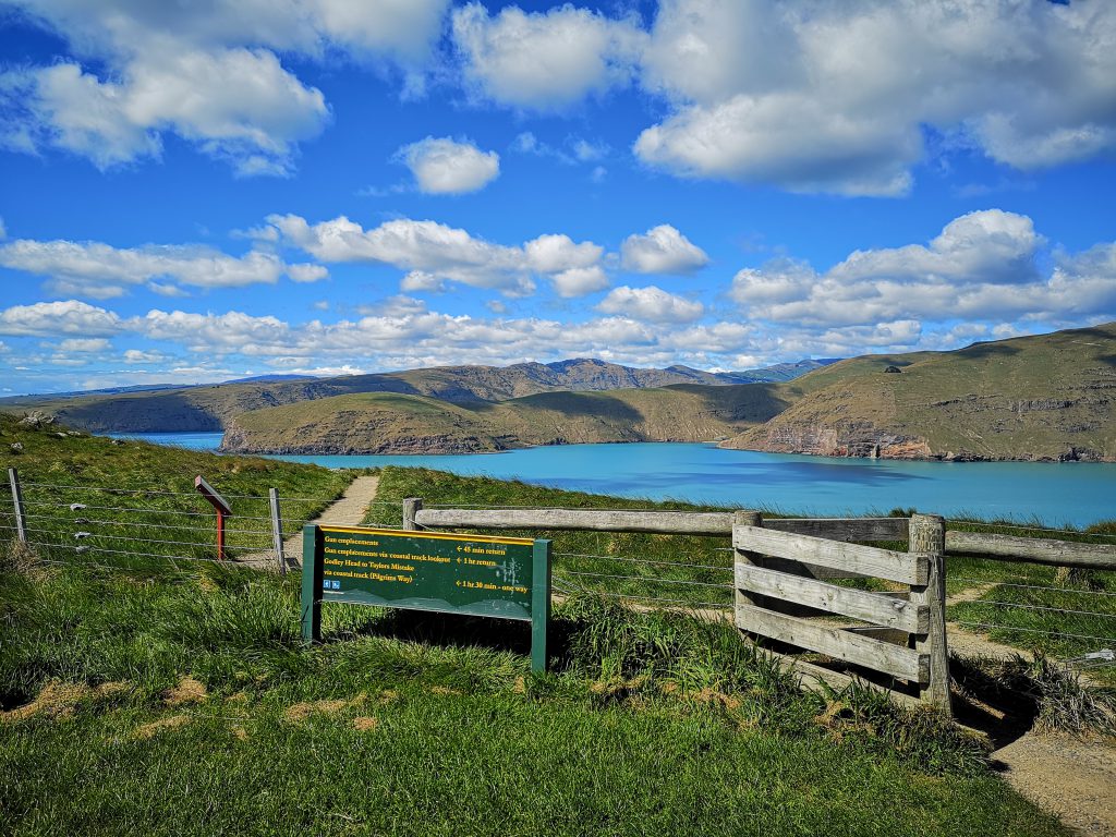 14 Camper-Kurztrips rund um Christchurch: die besten Tipps für Familien 34 Christchurch Godley Head