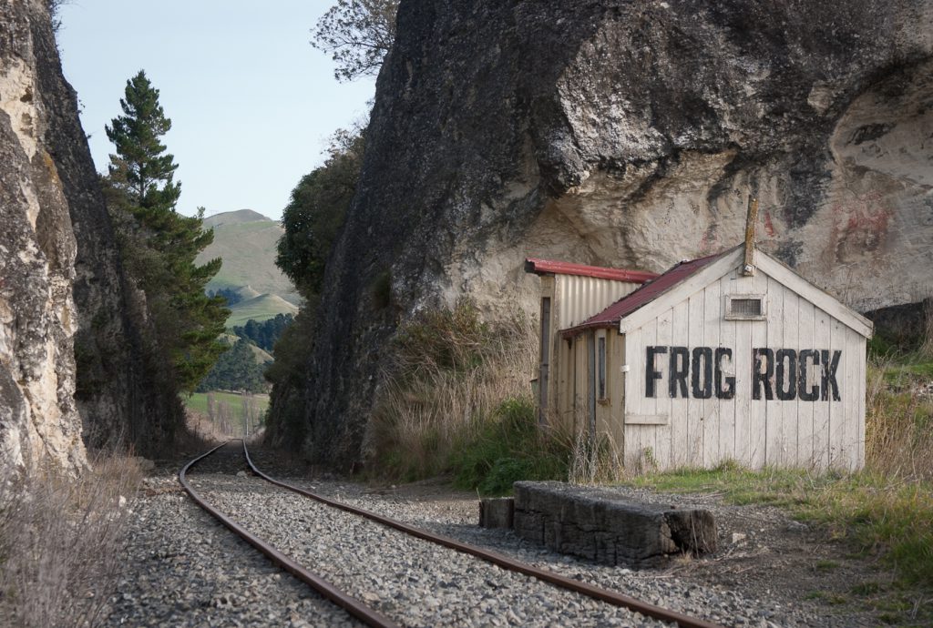 Weka Pass Railway Frog Rock