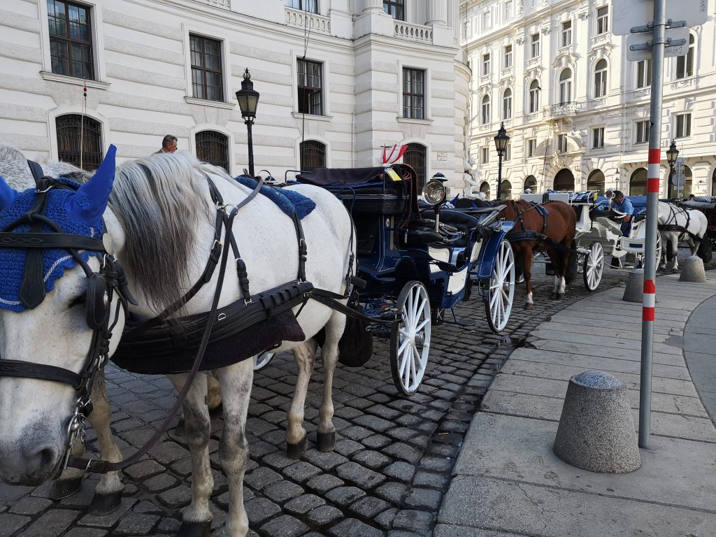 Wien mit Kindern Fiaker