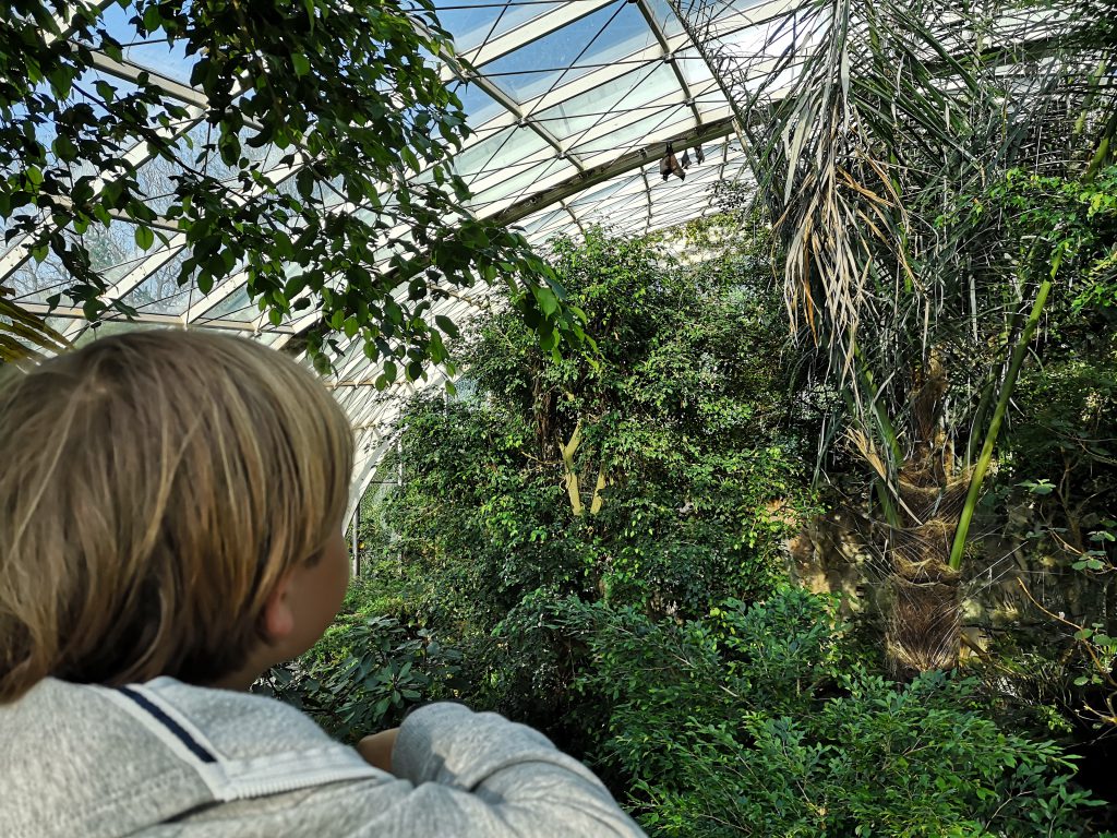 Tierpark Schönbrunn Regenwaldhaus