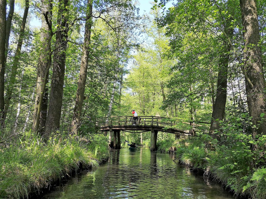 Spreewald