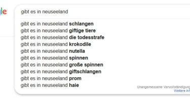 Neuseeland-Fragen Google Suche