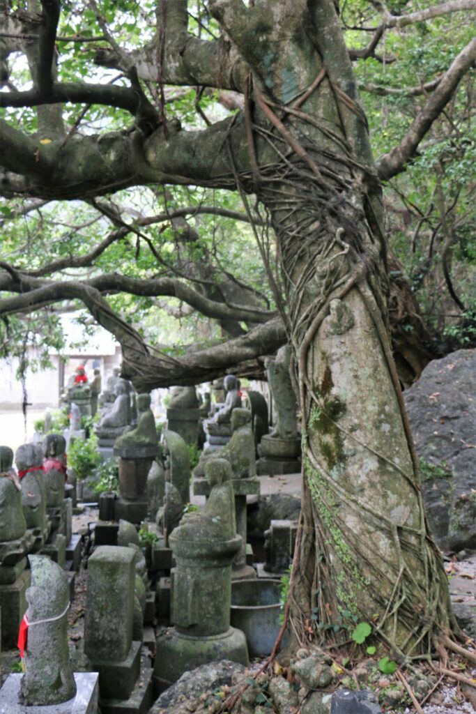 Shikoku Friedhof