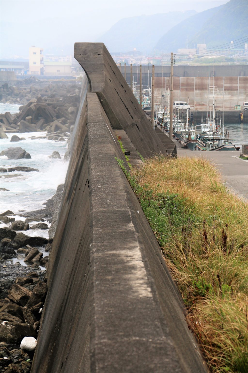 Shikoku Tsunami Mauer
