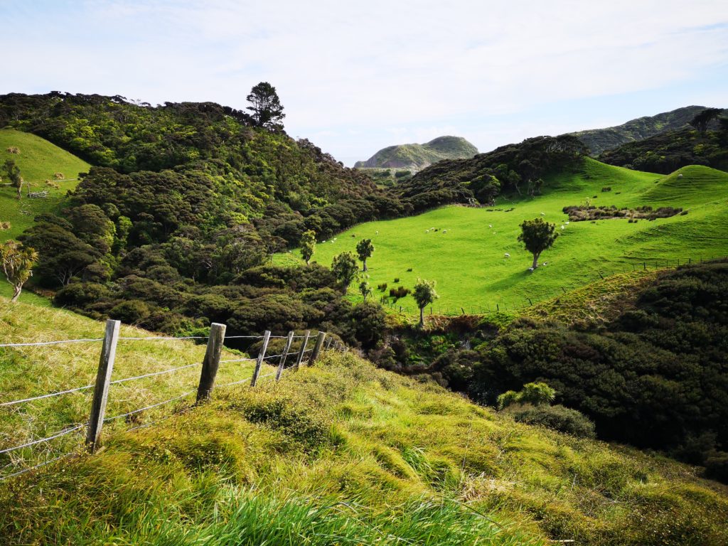 Wharariki Beach