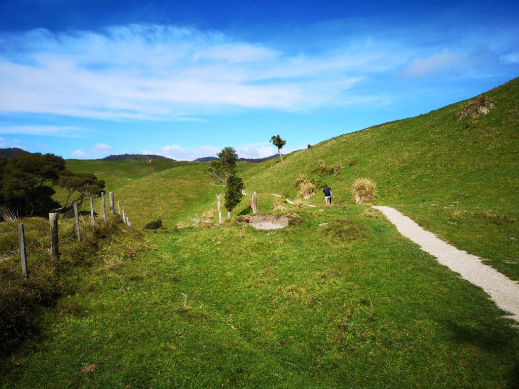 Wharariki Beach