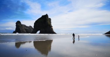 Wharariki Beach