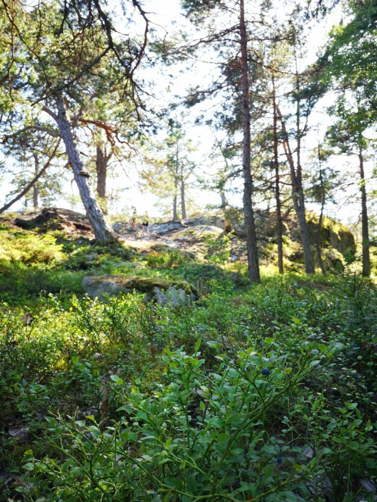 Schweden mit Kindern Björnö