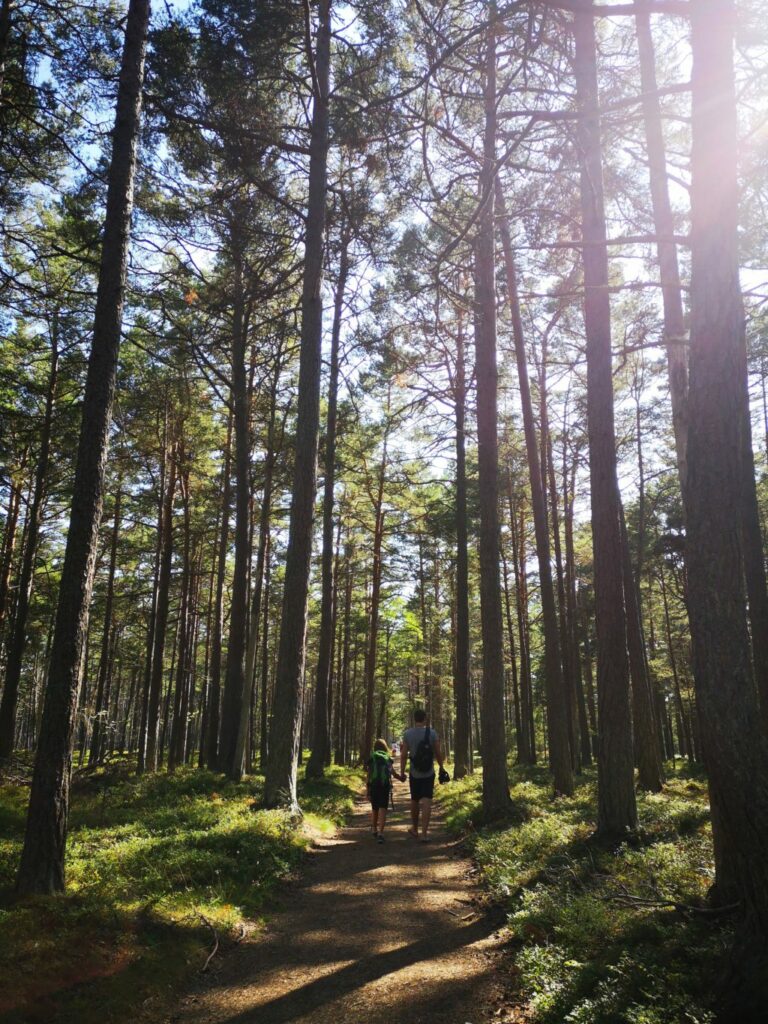 Schweden mit Kindern Sandhamn