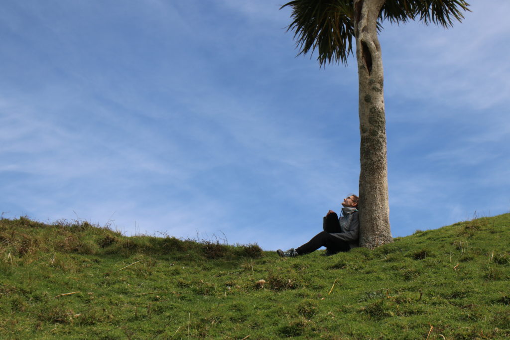 Wharariki Beach