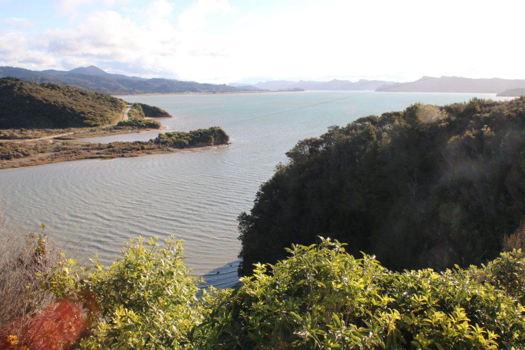 Wharariki Whanganui Inlet
