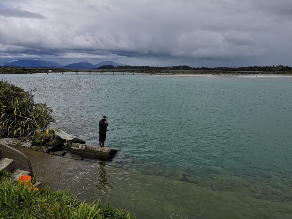 Hokitika Whitebait in Neuseeland