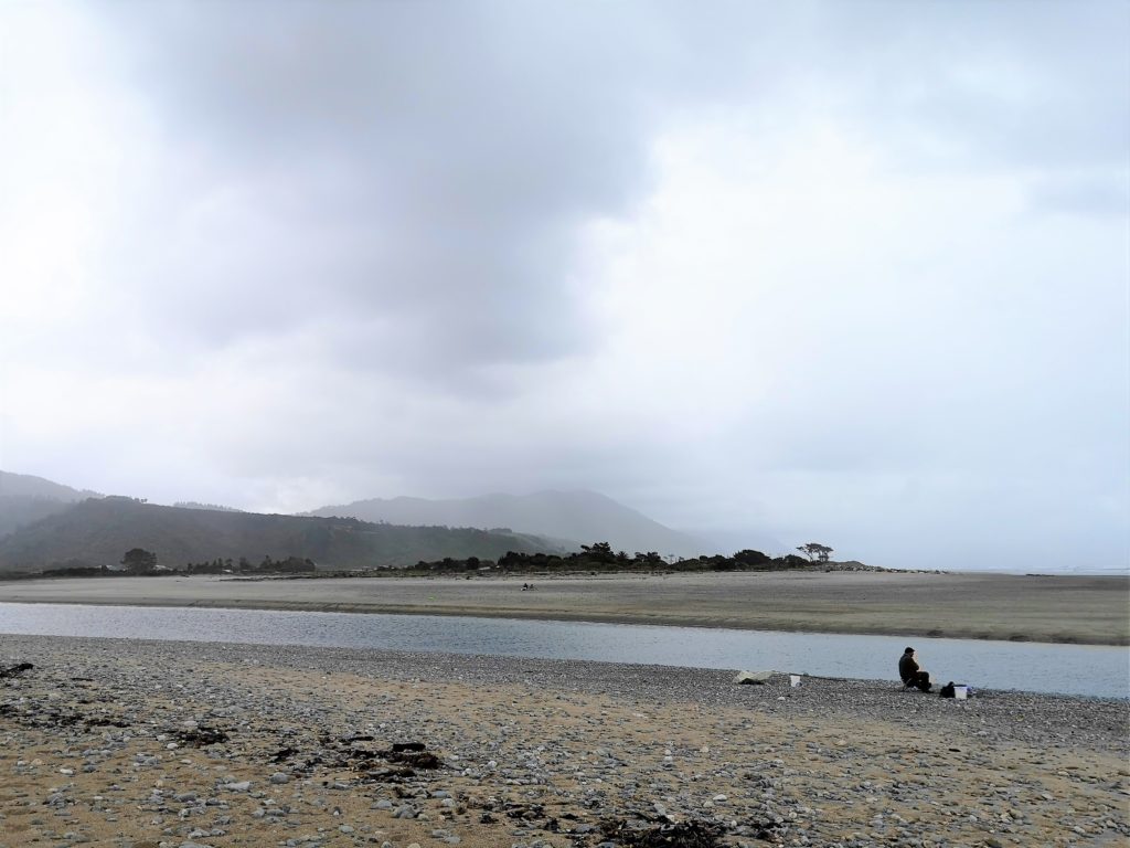 Westcoast Whitebait in Neuseeland