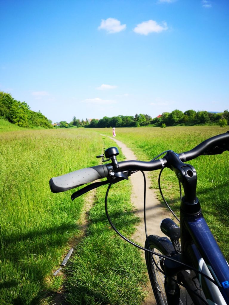 10 Gründe, warum wir (immer noch) ohne Auto leben 19 Fahrrad Dresden