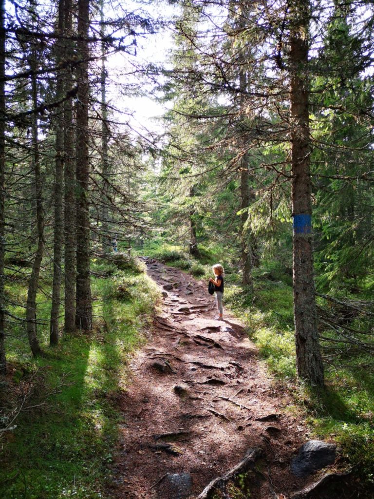 Schweden Hälsingland Waldspaziergang mit Kindern