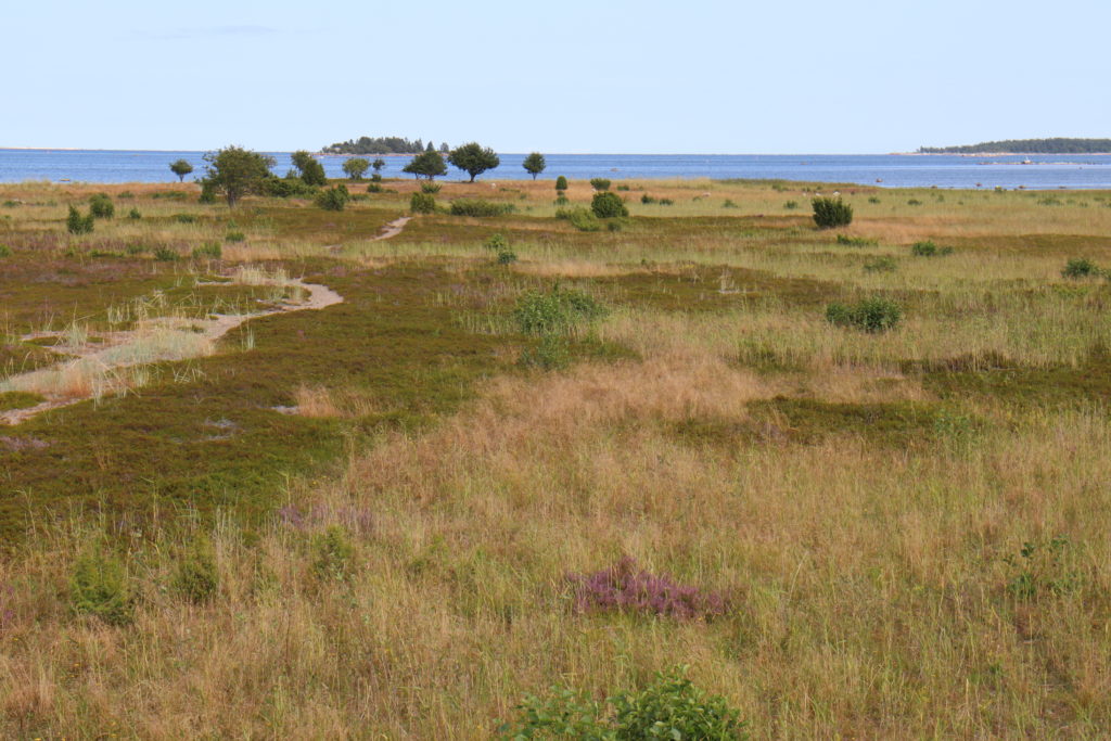 Schweden Hälsingland Söderhamn