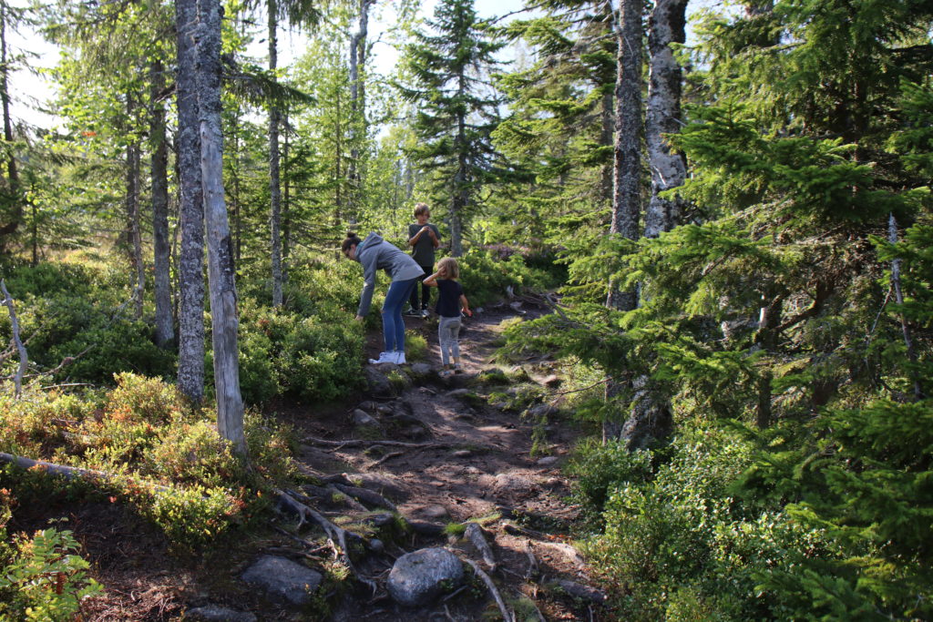 Schweden Hälsingland