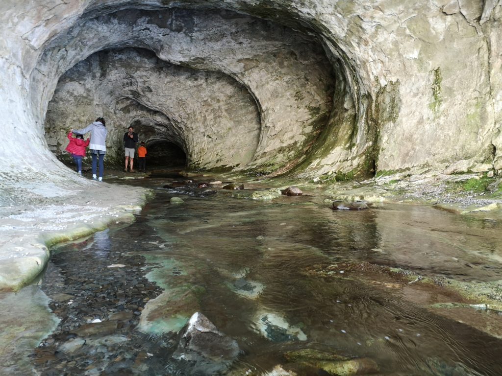Cave Stream Reserve