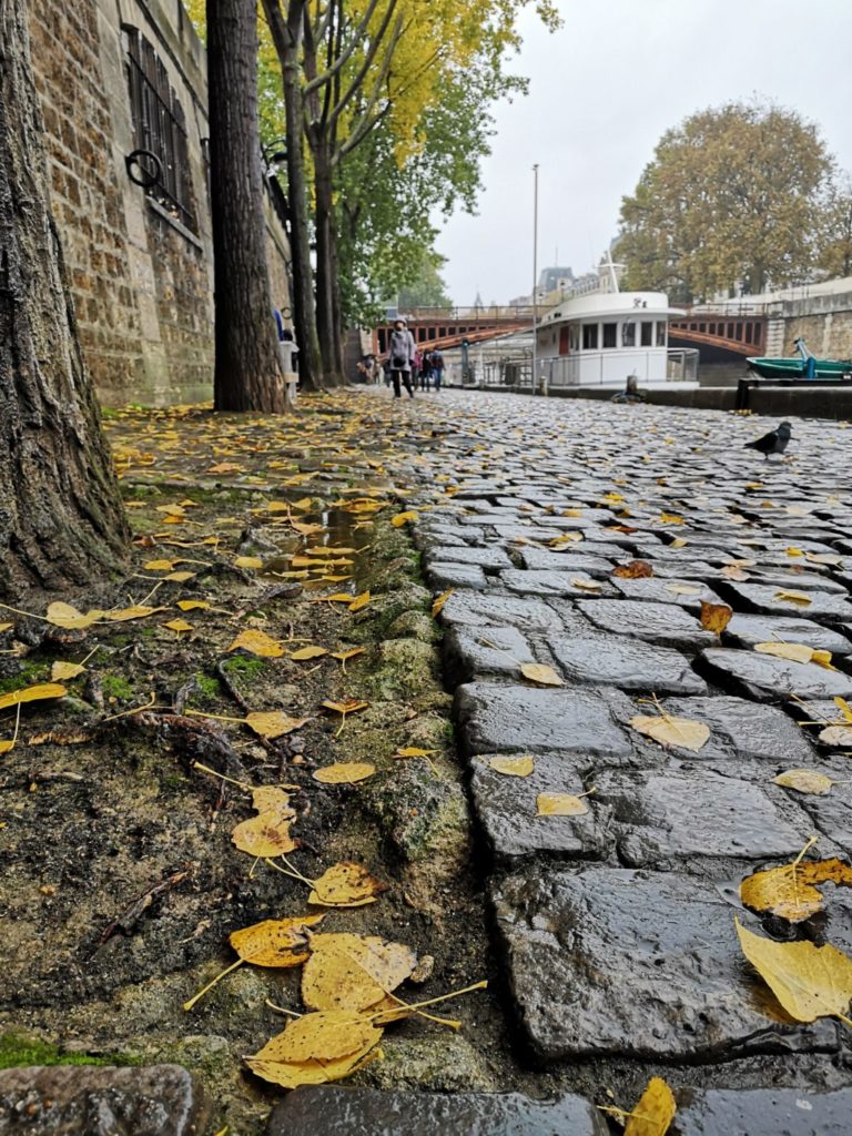 Paris im Regen