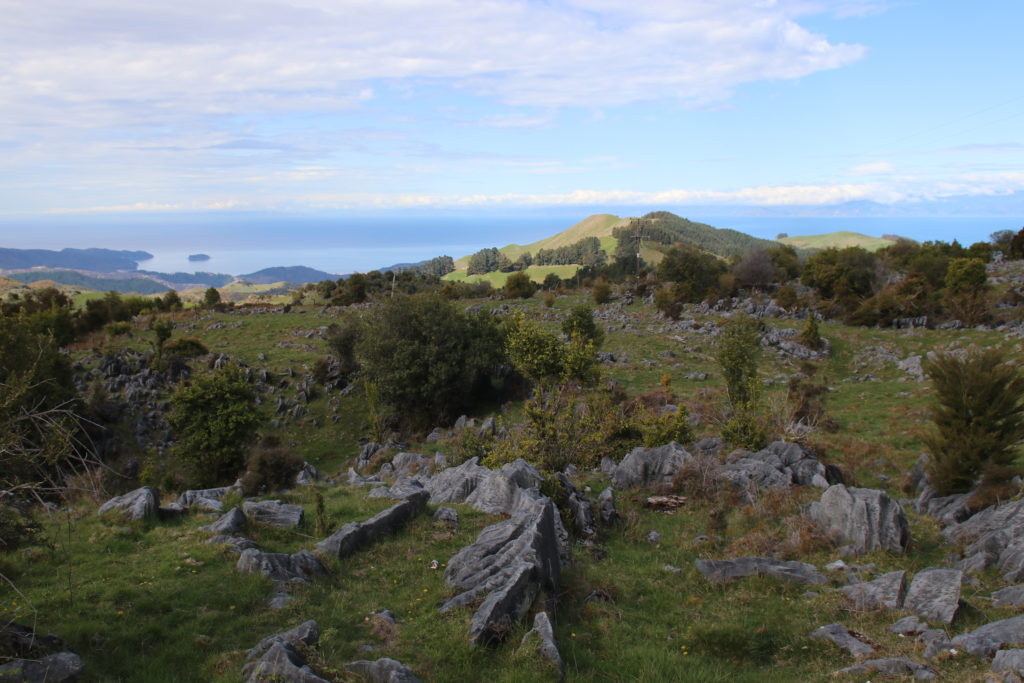 Neuseeland mit Kind Golden Bay