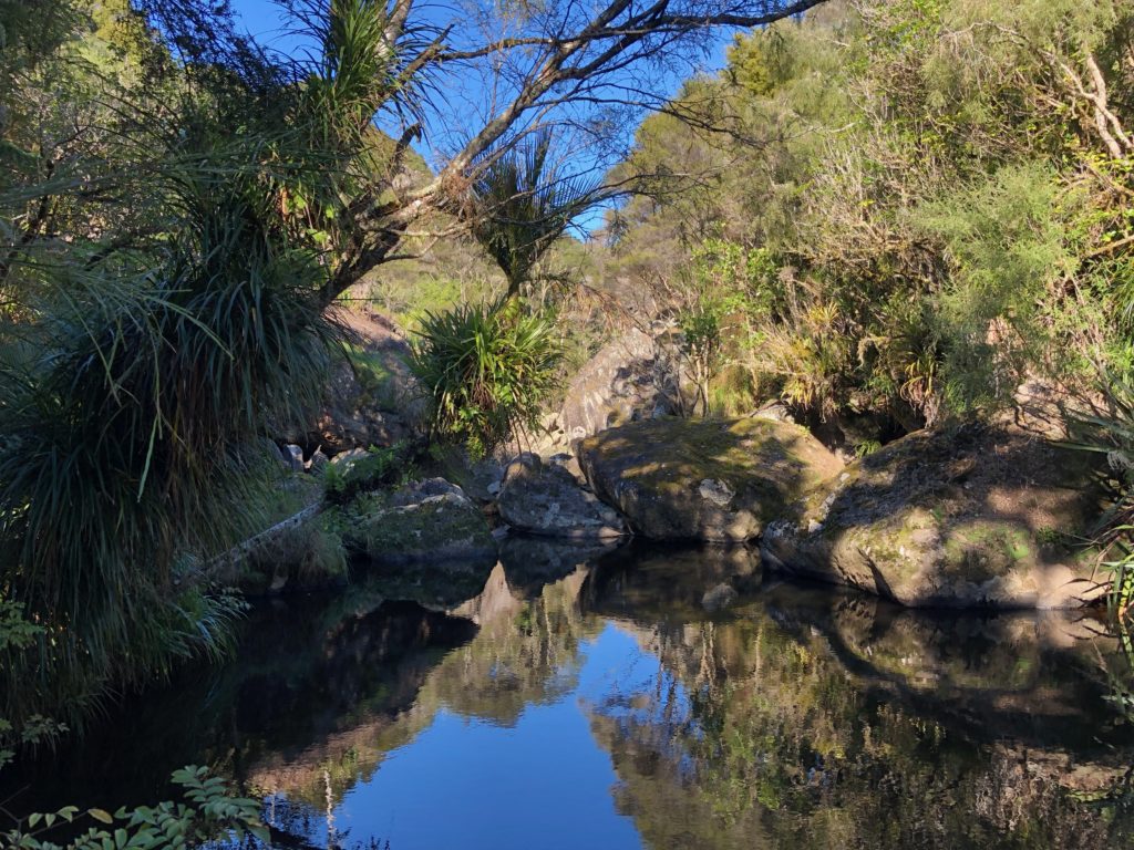 Wairere Boulders Neuseeland