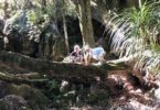 Wairere Boulders Neuseeland