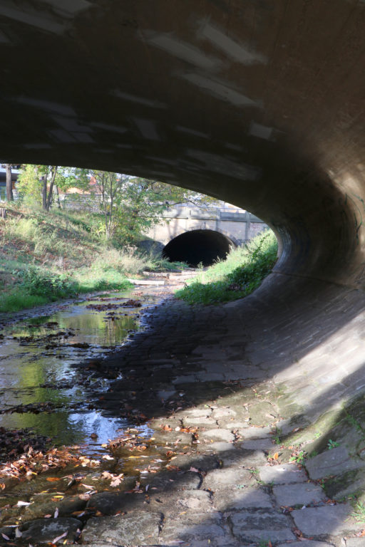 Dresden mit Kindern Prießnitztunnel