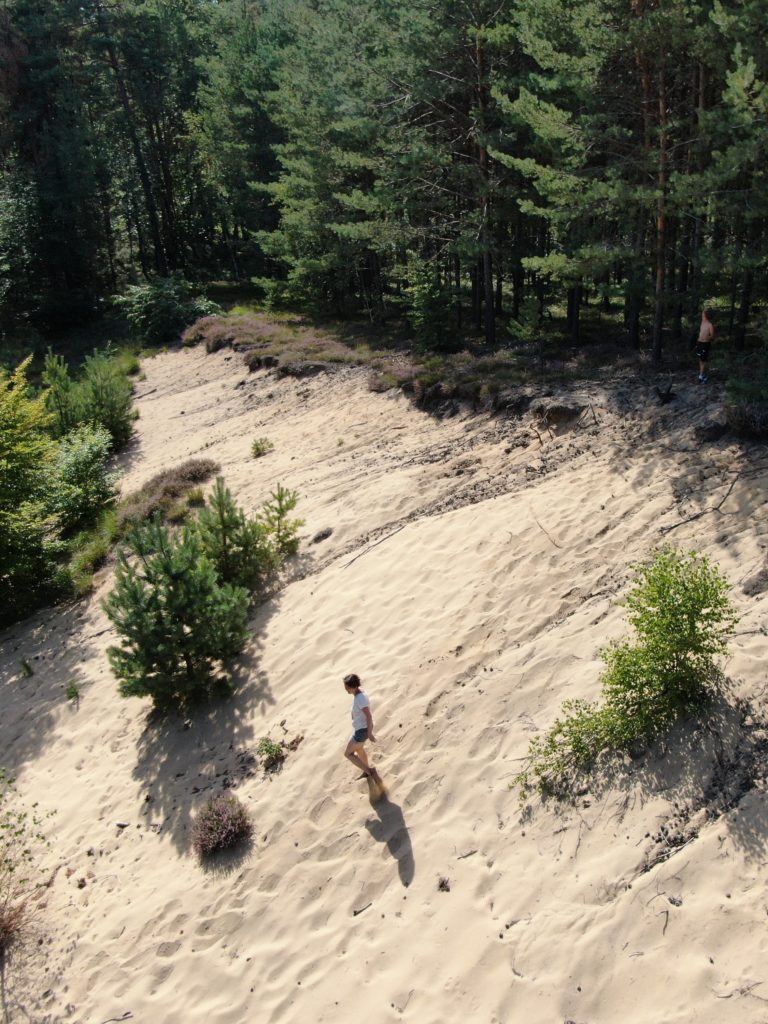 111 Orte in Dresden mit Kindern Dresdner Heide Sanddüne