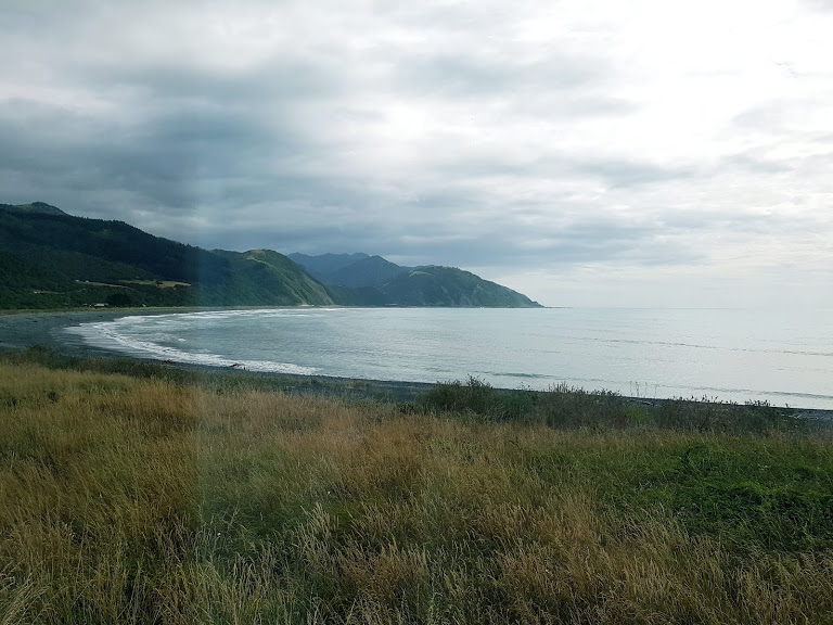Interview: Zugfahren in Neuseeland - macht Spaß! 15 Zugfahren in Neuseeland CREDIT Michaela Stoiba