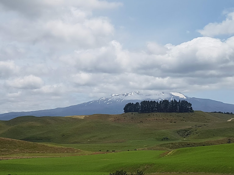 Zugfahren in Neuseeland CREDIT Michaela Stoiba