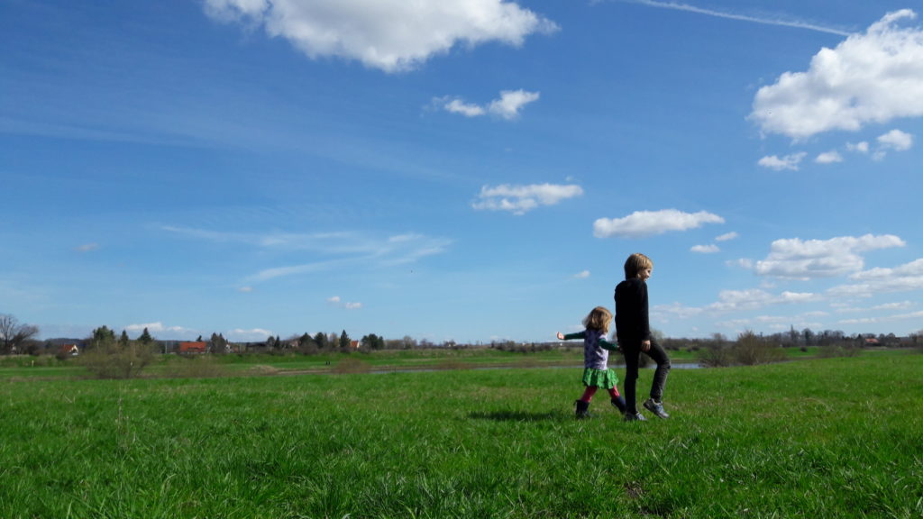 Natur in Dresden Elbwiesen