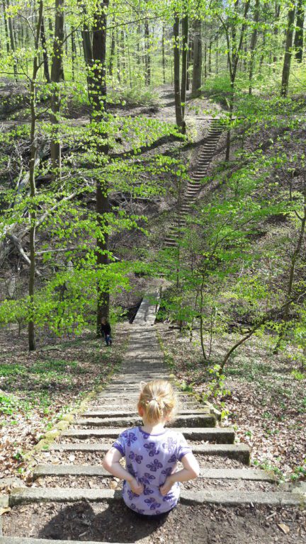 Natur in Dresden: 12 Ausflugsideen trotz Corona 35 Dresdner Heide
