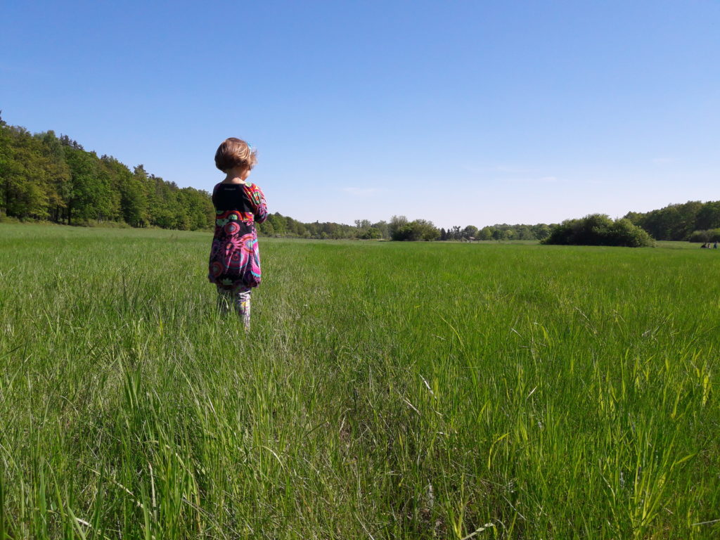 Natur in Dresden