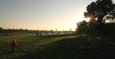 Natur in Dresden Elbwiesen