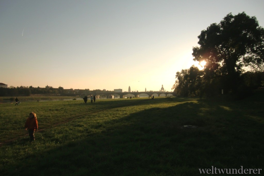 Natur in Dresden Elbwiesen