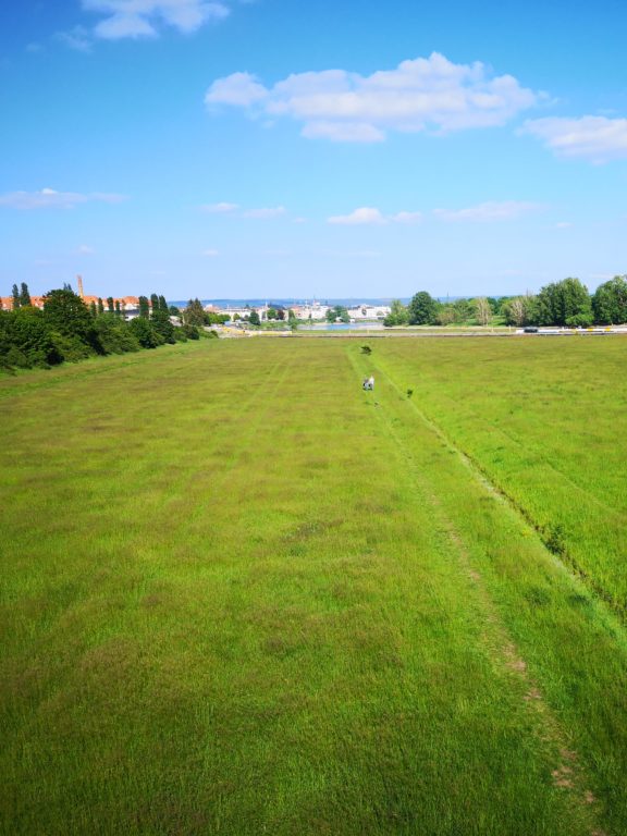 Natur in Dresden Flutrinne