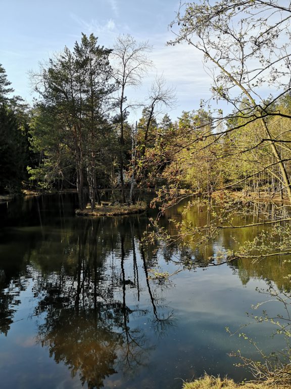 Natur in Dresden Heide