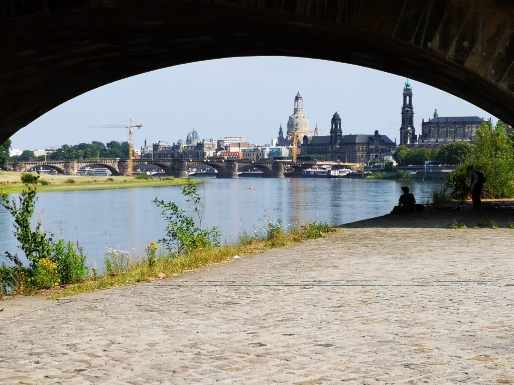 Natur in Dresden Elbe