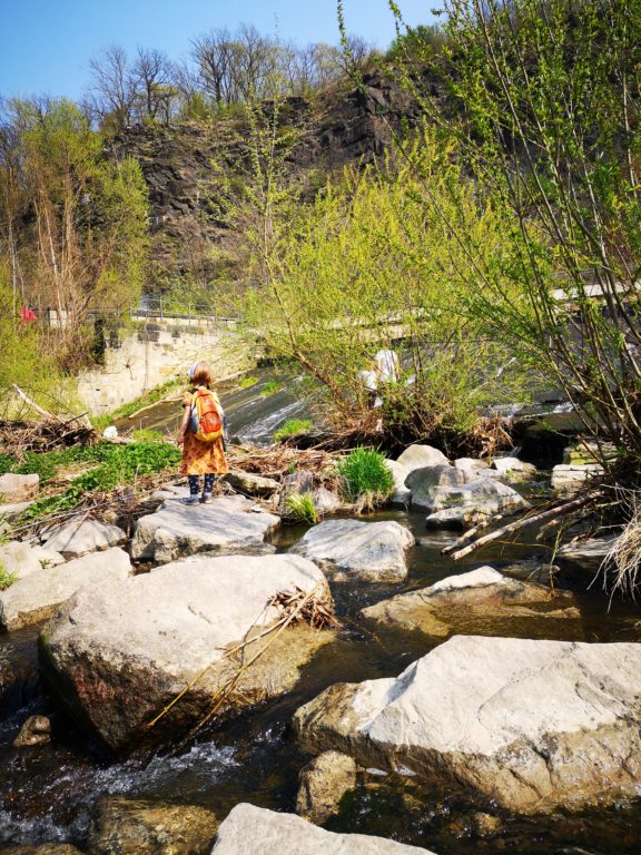 Natur in Dresden Weißeritz