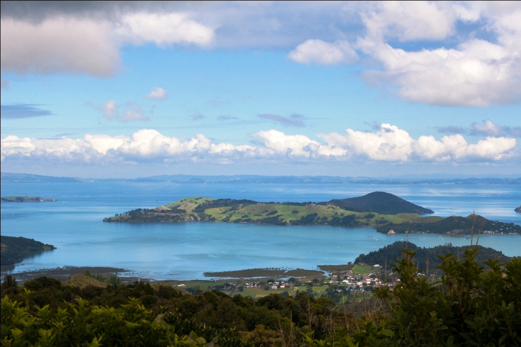 Coromandel Lookout