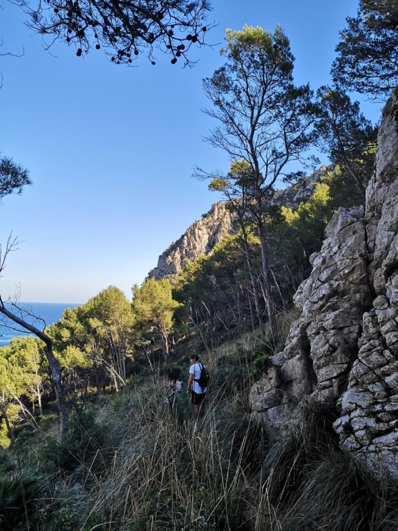 Platja d'es Coll Baix