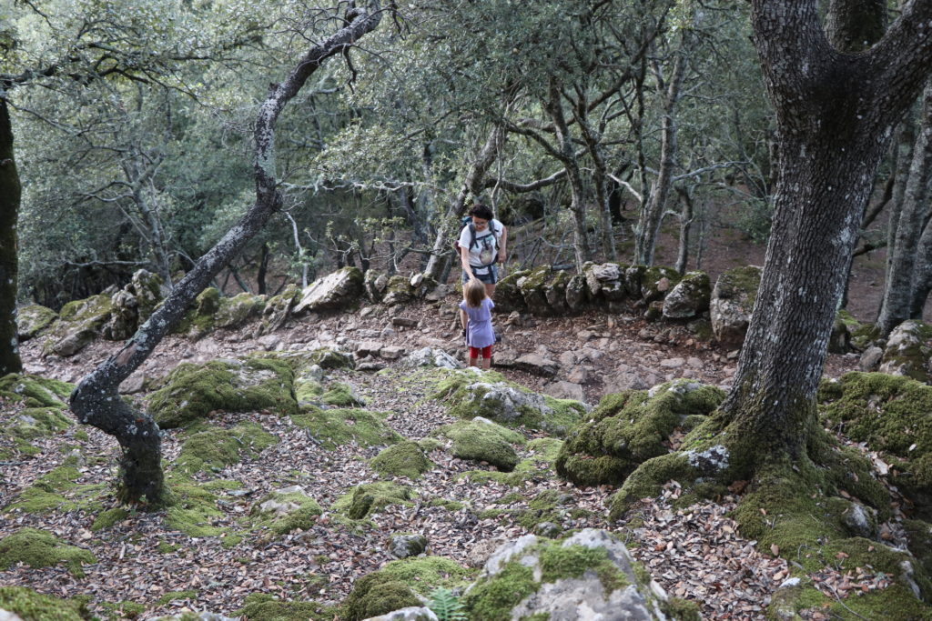Mallorca für Insider: 45 Wanderungen für Familien 8 Rundwanderung Lluc