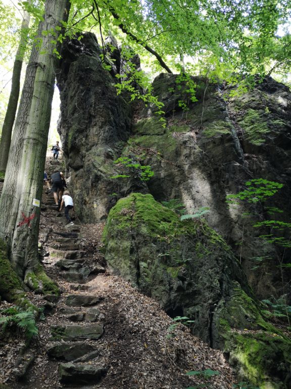 Natur in Dresden Rabenauer Grund