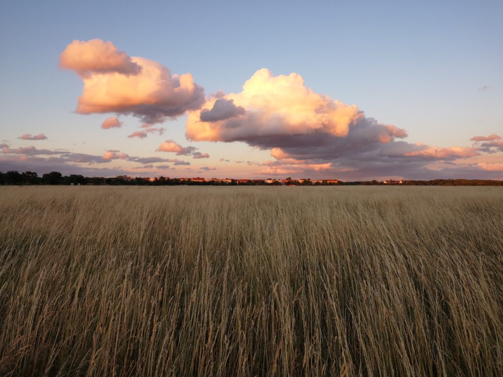 Tempelhofer Feld Sonnenuntergang