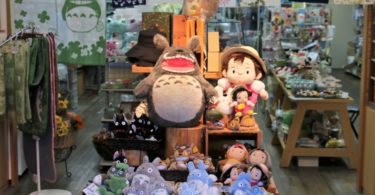 Studio Ghibli Filme Totoro