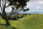 Mount Eden Auckland