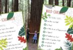 Wald Schatzsuche Downloads