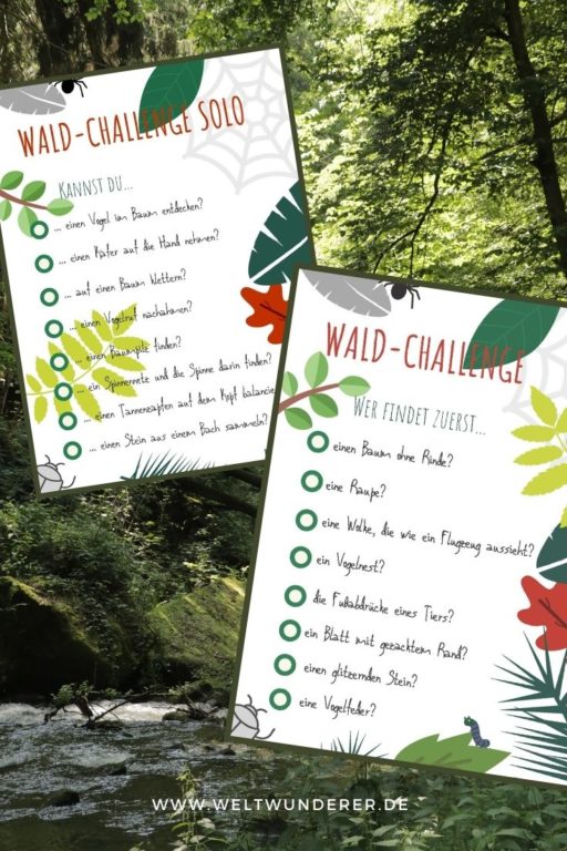 Wald Schatzsuche Downloads