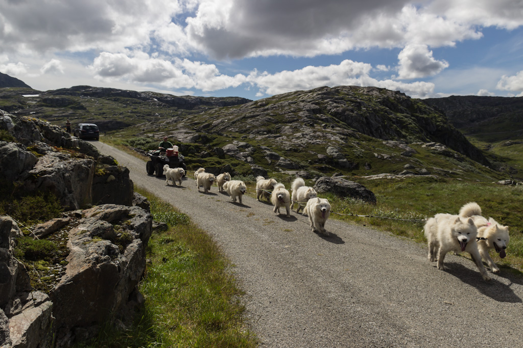 Norwegen Hardangervidda